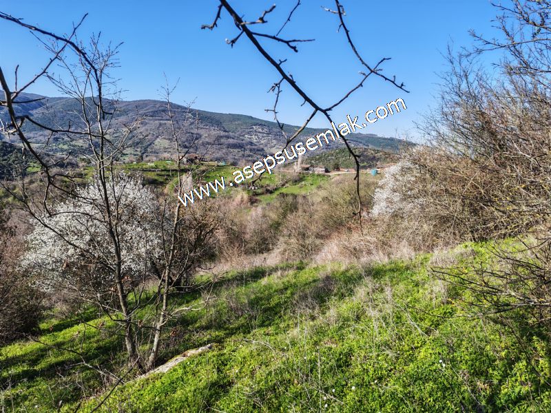 Gönen Yörükkeçidere’de 23.141 m² Yola Cephe | Projeli Yatırımlık Arazi 