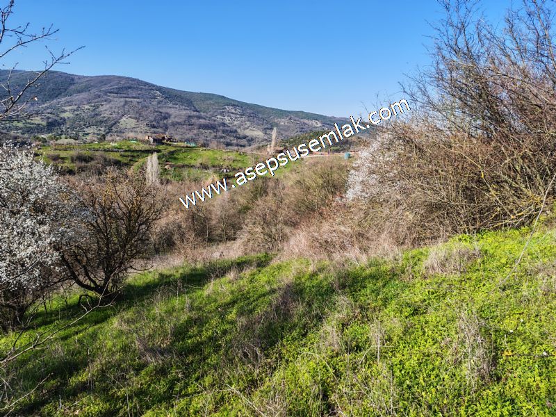 Gönen Yörükkeçidere’de 23.141 m² Yola Cephe | Projeli Yatırımlık Arazi 