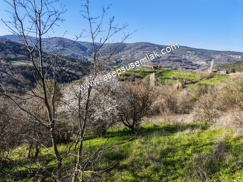 Gönen Yörükkeçidere’de 23.141 m² Yola Cephe | Projeli Yatırımlık Arazi 