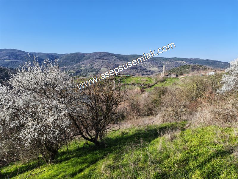 Gönen Yörükkeçidere’de 23.141 m² Yola Cephe | Projeli Yatırımlık Arazi 