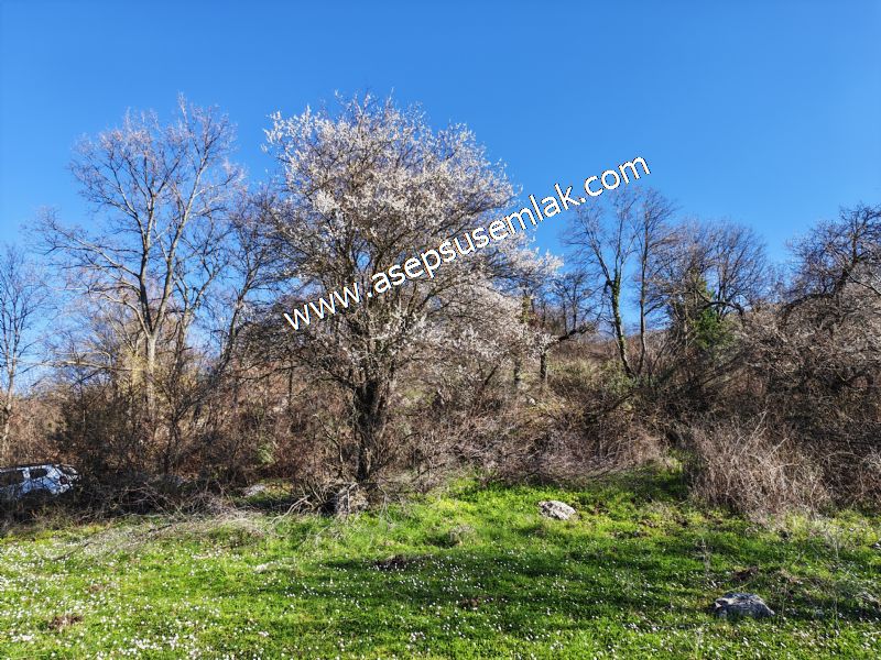 Gönen Yörükkeçidere’de 23.141 m² Yola Cephe | Projeli Yatırımlık Arazi 