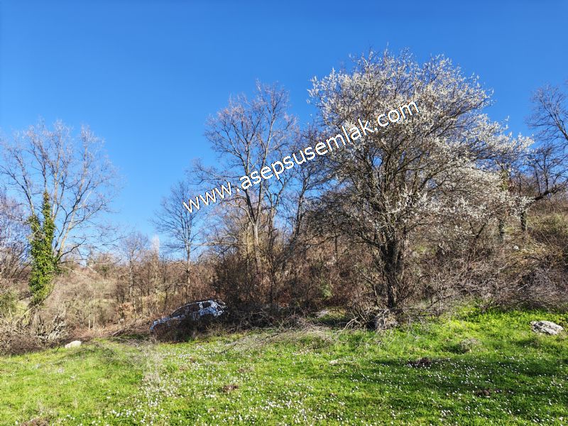 Gönen Yörükkeçidere’de 23.141 m² Yola Cephe | Projeli Yatırımlık Arazi 