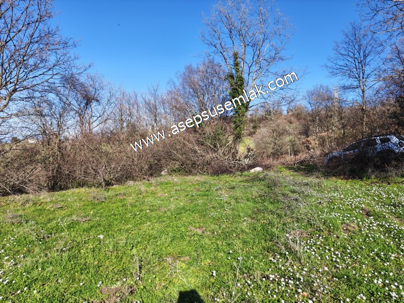 Gönen Yörükkeçidere’de 23.141 m² Yola Cephe | Projeli Yatırımlık Arazi 