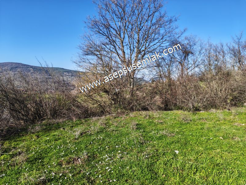 Gönen Yörükkeçidere’de 23.141 m² Yola Cephe | Projeli Yatırımlık Arazi 