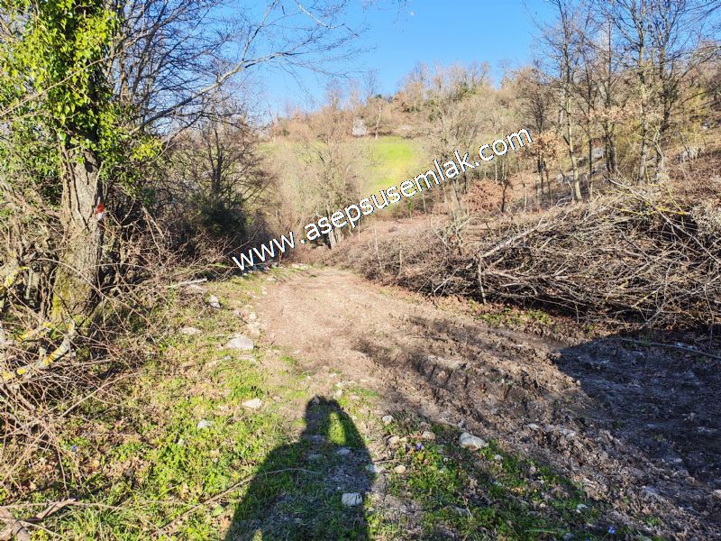 Gönen Yörükkeçidere’de 23.141 m² Yola Cephe | Projeli Yatırımlık Arazi 