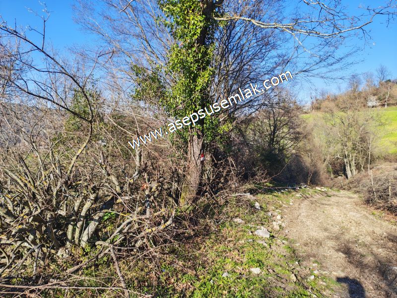 Gönen Yörükkeçidere’de 23.141 m² Yola Cephe | Projeli Yatırımlık Arazi 