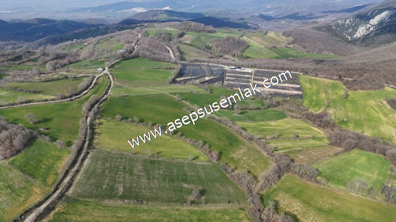 GÖNEN ÇOBANHAMİDİYE’DE ORMAN MANZARALI • ÇİFT KADASTRO YOL CEPHELİ • 15.850 m² SATILIK TARLA