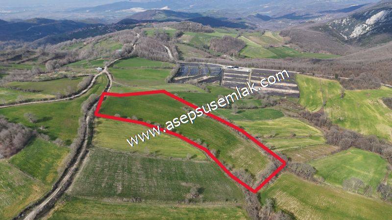 GÖNEN ÇOBANHAMİDİYE’DE ORMAN MANZARALI • ÇİFT KADASTRO YOL CEPHELİ • 15.850 m² SATILIK TARLA