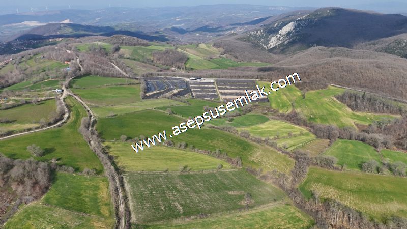 GÖNEN ÇOBANHAMİDİYE’DE ORMAN MANZARALI • ÇİFT KADASTRO YOL CEPHELİ • 15.850 m² SATILIK TARLA