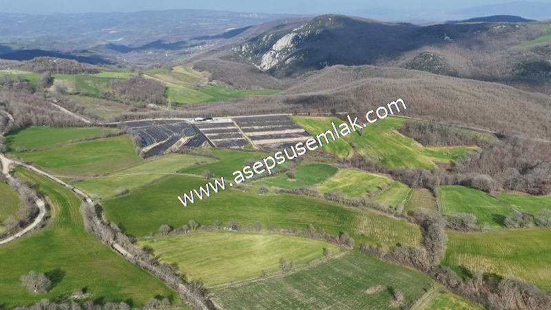GÖNEN ÇOBANHAMİDİYE’DE ORMAN MANZARALI • ÇİFT KADASTRO YOL CEPHELİ • 15.850 m² SATILIK TARLA