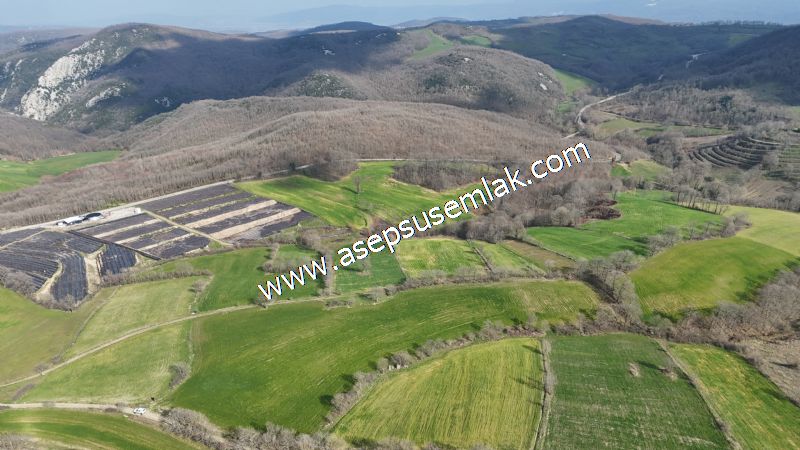 GÖNEN ÇOBANHAMİDİYE’DE ORMAN MANZARALI • ÇİFT KADASTRO YOL CEPHELİ • 15.850 m² SATILIK TARLA