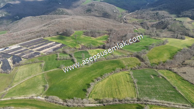 GÖNEN ÇOBANHAMİDİYE’DE ORMAN MANZARALI • ÇİFT KADASTRO YOL CEPHELİ • 15.850 m² SATILIK TARLA