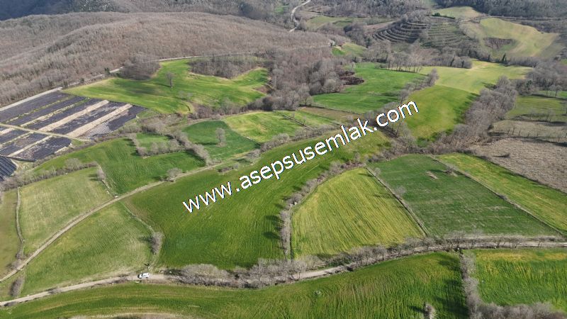 GÖNEN ÇOBANHAMİDİYE’DE ORMAN MANZARALI • ÇİFT KADASTRO YOL CEPHELİ • 15.850 m² SATILIK TARLA