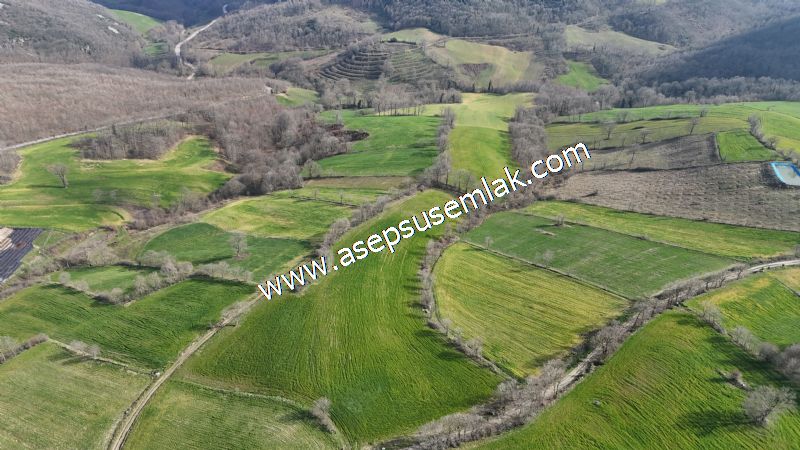 GÖNEN ÇOBANHAMİDİYE’DE ORMAN MANZARALI • ÇİFT KADASTRO YOL CEPHELİ • 15.850 m² SATILIK TARLA