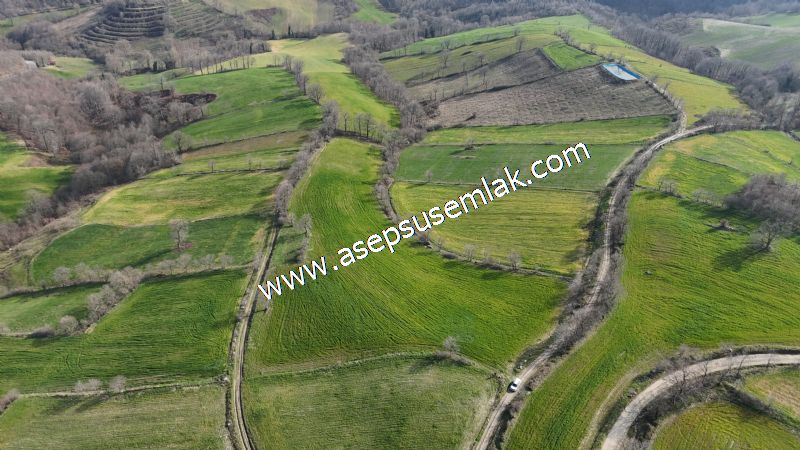 GÖNEN ÇOBANHAMİDİYE’DE ORMAN MANZARALI • ÇİFT KADASTRO YOL CEPHELİ • 15.850 m² SATILIK TARLA