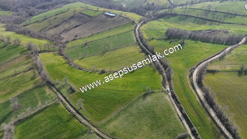 GÖNEN ÇOBANHAMİDİYE’DE ORMAN MANZARALI • ÇİFT KADASTRO YOL CEPHELİ • 15.850 m² SATILIK TARLA