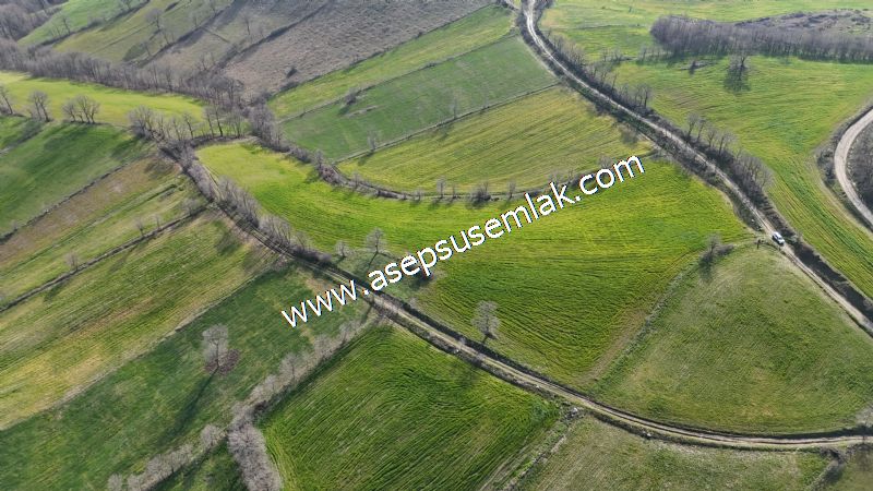 GÖNEN ÇOBANHAMİDİYE’DE ORMAN MANZARALI • ÇİFT KADASTRO YOL CEPHELİ • 15.850 m² SATILIK TARLA