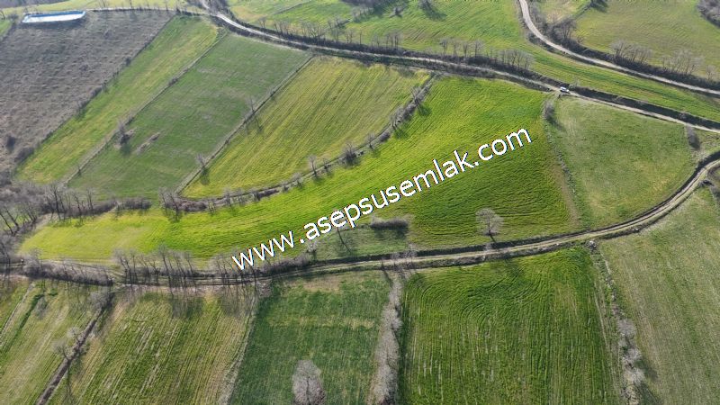 GÖNEN ÇOBANHAMİDİYE’DE ORMAN MANZARALI • ÇİFT KADASTRO YOL CEPHELİ • 15.850 m² SATILIK TARLA