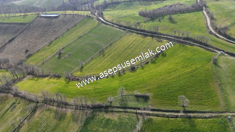 GÖNEN ÇOBANHAMİDİYE’DE ORMAN MANZARALI • ÇİFT KADASTRO YOL CEPHELİ • 15.850 m² SATILIK TARLA