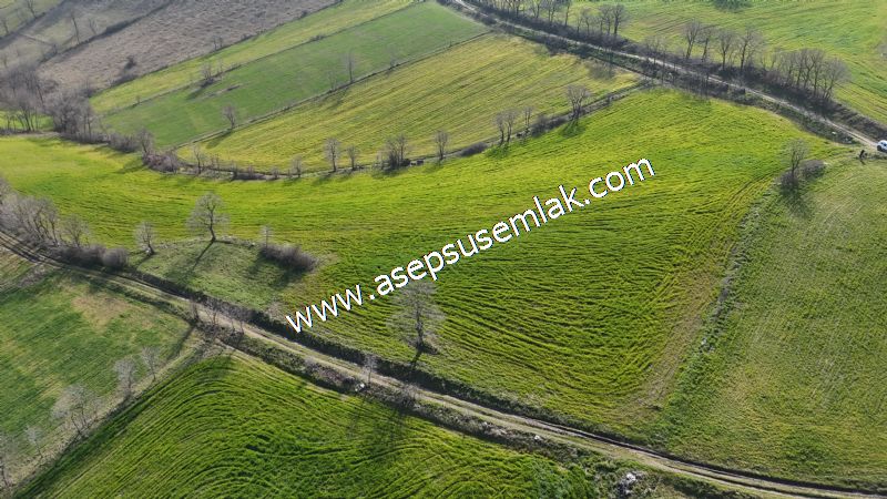 GÖNEN ÇOBANHAMİDİYE’DE ORMAN MANZARALI • ÇİFT KADASTRO YOL CEPHELİ • 15.850 m² SATILIK TARLA