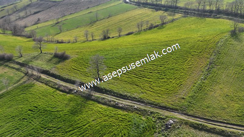 GÖNEN ÇOBANHAMİDİYE’DE ORMAN MANZARALI • ÇİFT KADASTRO YOL CEPHELİ • 15.850 m² SATILIK TARLA