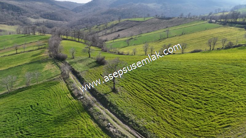 GÖNEN ÇOBANHAMİDİYE’DE ORMAN MANZARALI • ÇİFT KADASTRO YOL CEPHELİ • 15.850 m² SATILIK TARLA