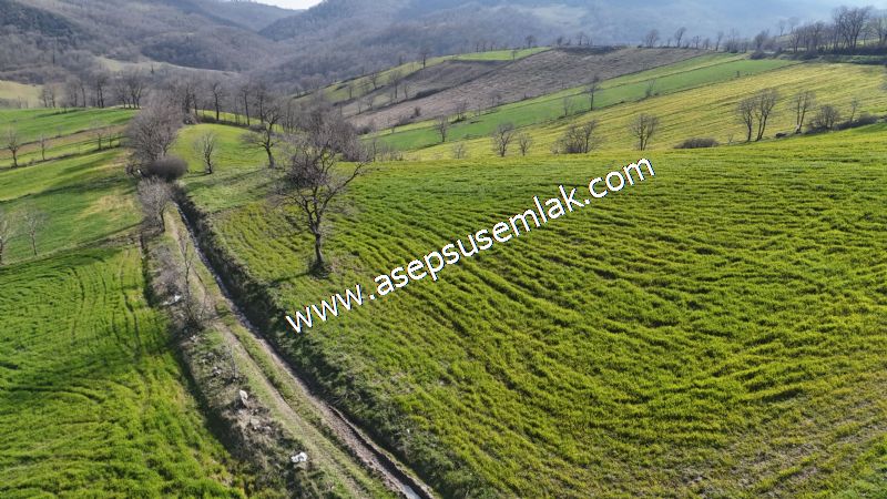GÖNEN ÇOBANHAMİDİYE’DE ORMAN MANZARALI • ÇİFT KADASTRO YOL CEPHELİ • 15.850 m² SATILIK TARLA