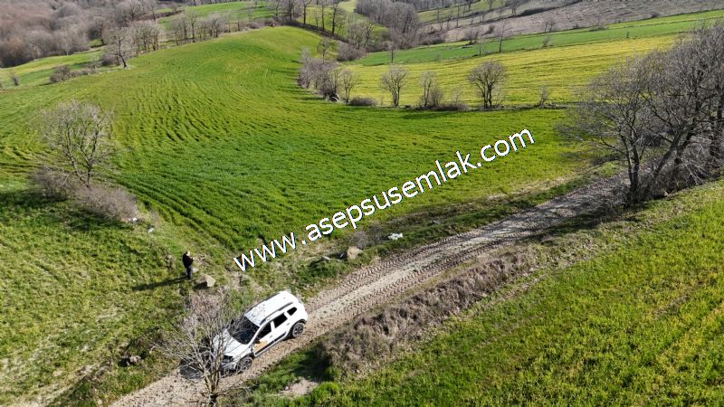 GÖNEN ÇOBANHAMİDİYE’DE ORMAN MANZARALI • ÇİFT KADASTRO YOL CEPHELİ • 15.850 m² SATILIK TARLA