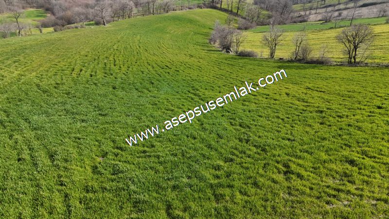 GÖNEN ÇOBANHAMİDİYE’DE ORMAN MANZARALI • ÇİFT KADASTRO YOL CEPHELİ • 15.850 m² SATILIK TARLA