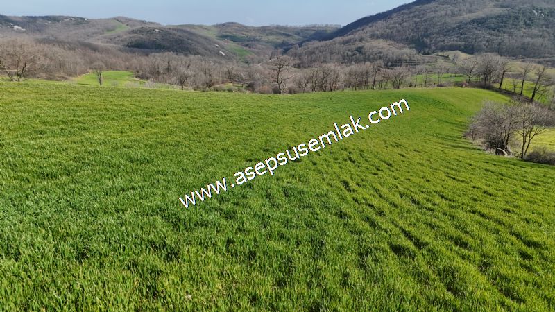 GÖNEN ÇOBANHAMİDİYE’DE ORMAN MANZARALI • ÇİFT KADASTRO YOL CEPHELİ • 15.850 m² SATILIK TARLA