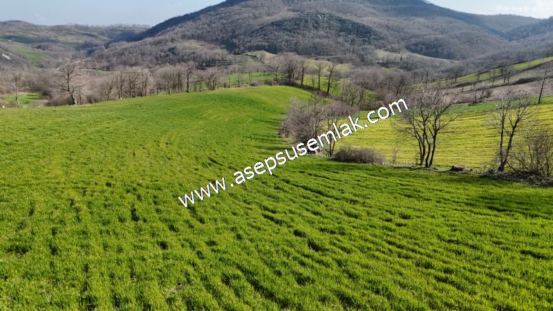 GÖNEN ÇOBANHAMİDİYE’DE ORMAN MANZARALI • ÇİFT KADASTRO YOL CEPHELİ • 15.850 m² SATILIK TARLA