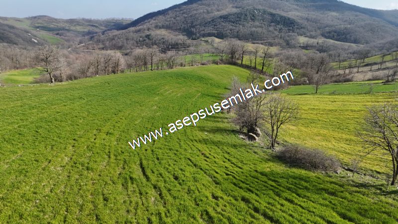 GÖNEN ÇOBANHAMİDİYE’DE ORMAN MANZARALI • ÇİFT KADASTRO YOL CEPHELİ • 15.850 m² SATILIK TARLA