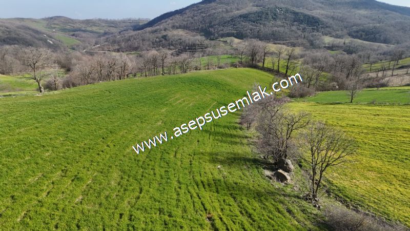 GÖNEN ÇOBANHAMİDİYE’DE ORMAN MANZARALI • ÇİFT KADASTRO YOL CEPHELİ • 15.850 m² SATILIK TARLA