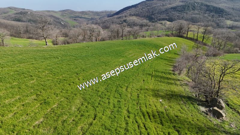 GÖNEN ÇOBANHAMİDİYE’DE ORMAN MANZARALI • ÇİFT KADASTRO YOL CEPHELİ • 15.850 m² SATILIK TARLA