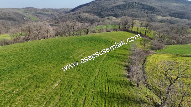 GÖNEN ÇOBANHAMİDİYE’DE ORMAN MANZARALI • ÇİFT KADASTRO YOL CEPHELİ • 15.850 m² SATILIK TARLA