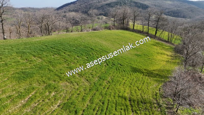 GÖNEN ÇOBANHAMİDİYE’DE ORMAN MANZARALI • ÇİFT KADASTRO YOL CEPHELİ • 15.850 m² SATILIK TARLA