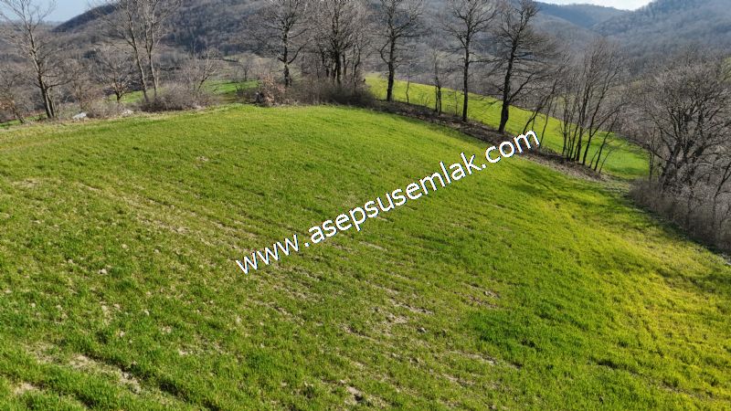 GÖNEN ÇOBANHAMİDİYE’DE ORMAN MANZARALI • ÇİFT KADASTRO YOL CEPHELİ • 15.850 m² SATILIK TARLA