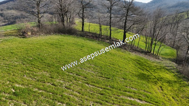 GÖNEN ÇOBANHAMİDİYE’DE ORMAN MANZARALI • ÇİFT KADASTRO YOL CEPHELİ • 15.850 m² SATILIK TARLA