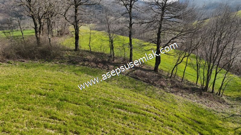 GÖNEN ÇOBANHAMİDİYE’DE ORMAN MANZARALI • ÇİFT KADASTRO YOL CEPHELİ • 15.850 m² SATILIK TARLA