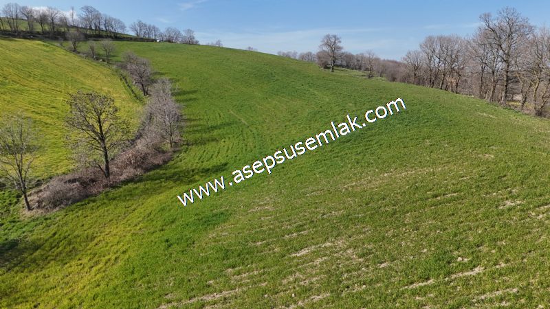 GÖNEN ÇOBANHAMİDİYE’DE ORMAN MANZARALI • ÇİFT KADASTRO YOL CEPHELİ • 15.850 m² SATILIK TARLA