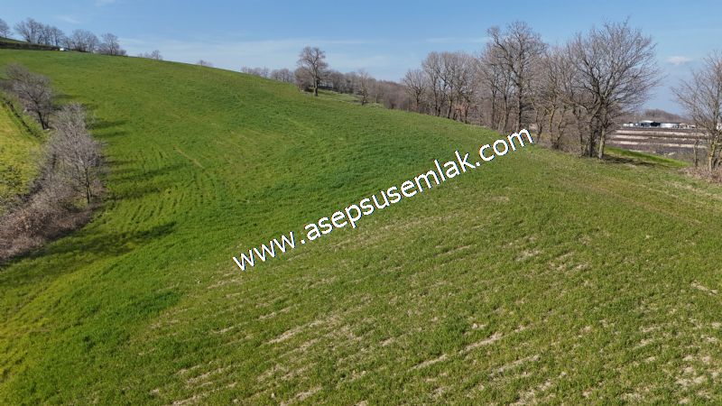 GÖNEN ÇOBANHAMİDİYE’DE ORMAN MANZARALI • ÇİFT KADASTRO YOL CEPHELİ • 15.850 m² SATILIK TARLA