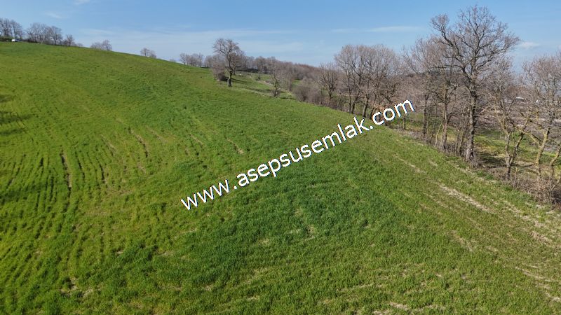 GÖNEN ÇOBANHAMİDİYE’DE ORMAN MANZARALI • ÇİFT KADASTRO YOL CEPHELİ • 15.850 m² SATILIK TARLA