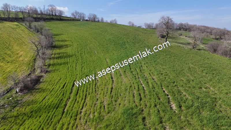 GÖNEN ÇOBANHAMİDİYE’DE ORMAN MANZARALI • ÇİFT KADASTRO YOL CEPHELİ • 15.850 m² SATILIK TARLA