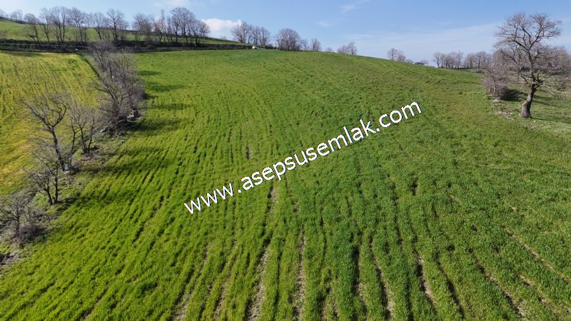 GÖNEN ÇOBANHAMİDİYE’DE ORMAN MANZARALI • ÇİFT KADASTRO YOL CEPHELİ • 15.850 m² SATILIK TARLA