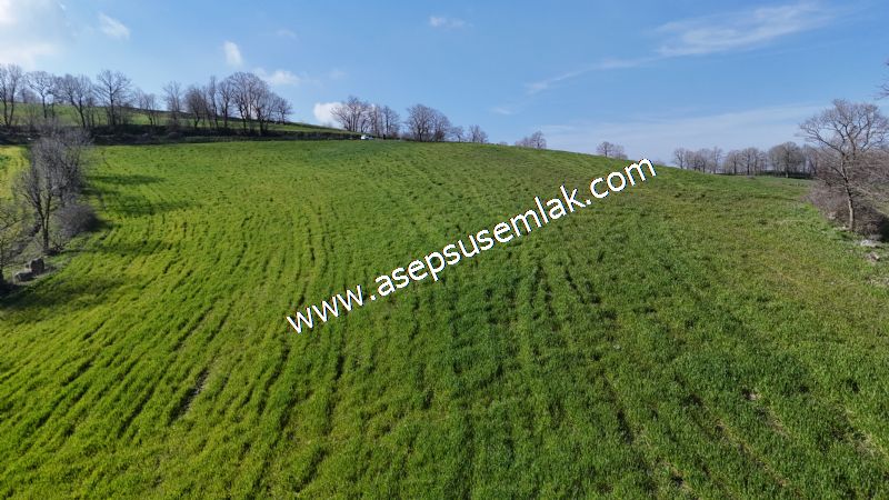 GÖNEN ÇOBANHAMİDİYE’DE ORMAN MANZARALI • ÇİFT KADASTRO YOL CEPHELİ • 15.850 m² SATILIK TARLA