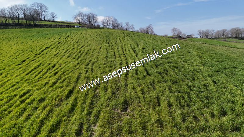 GÖNEN ÇOBANHAMİDİYE’DE ORMAN MANZARALI • ÇİFT KADASTRO YOL CEPHELİ • 15.850 m² SATILIK TARLA