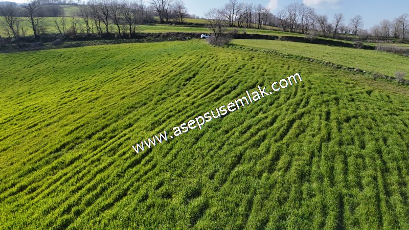 GÖNEN ÇOBANHAMİDİYE’DE ORMAN MANZARALI • ÇİFT KADASTRO YOL CEPHELİ • 15.850 m² SATILIK TARLA