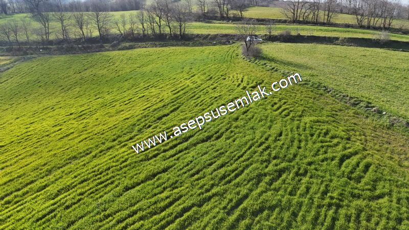 GÖNEN ÇOBANHAMİDİYE’DE ORMAN MANZARALI • ÇİFT KADASTRO YOL CEPHELİ • 15.850 m² SATILIK TARLA