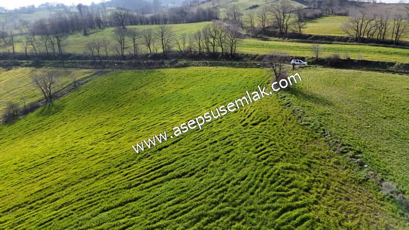 GÖNEN ÇOBANHAMİDİYE’DE ORMAN MANZARALI • ÇİFT KADASTRO YOL CEPHELİ • 15.850 m² SATILIK TARLA