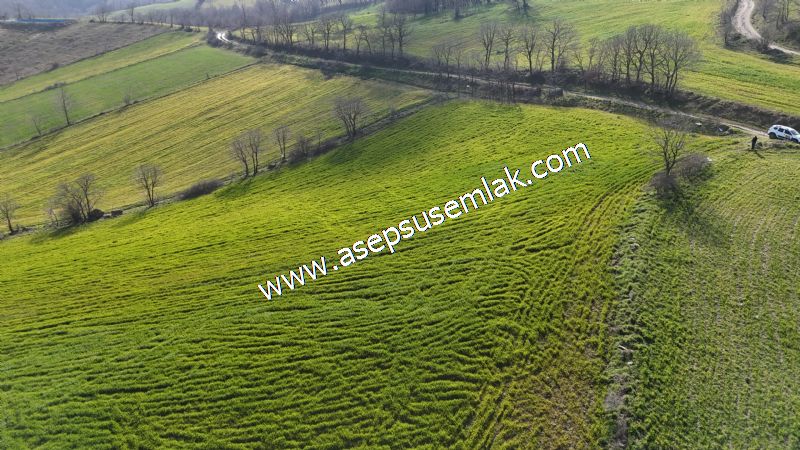 GÖNEN ÇOBANHAMİDİYE’DE ORMAN MANZARALI • ÇİFT KADASTRO YOL CEPHELİ • 15.850 m² SATILIK TARLA